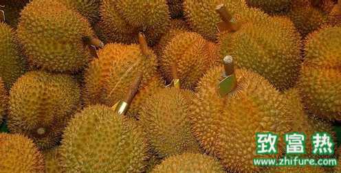 榴蓮怎么吃？榴蓮不能和什么一起吃