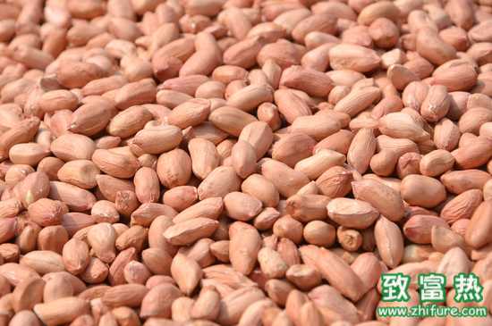 巧用三招花生增產(chǎn)