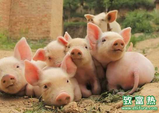 src="/upload/images/2016/11/22143743197.png"