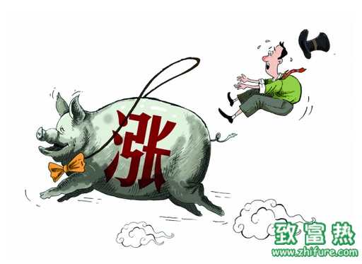 天氣影響豬價漲勢