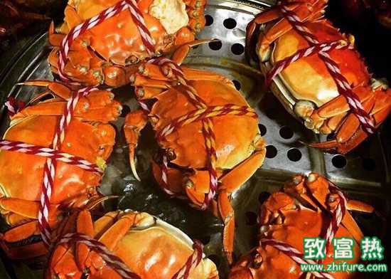 養(yǎng)大閘蟹掙錢難