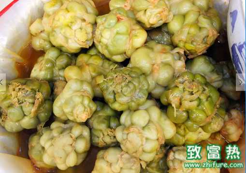 榨菜的營養(yǎng)價值和功效 榨菜怎么脫水腌制