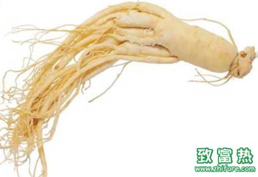 西洋參的營養(yǎng)價(jià)值和功效 西洋參的食用方法