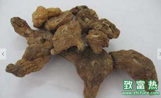 茯苓的營養價值和功效 茯苓糕的做法