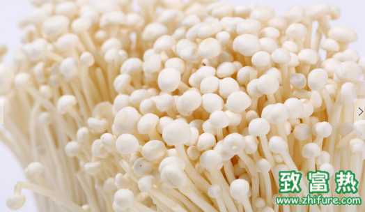 金針菇的營養價值和功效 孕婦能吃金針菇嗎