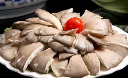 平菇的營養價值和功效 平菇的選購方法