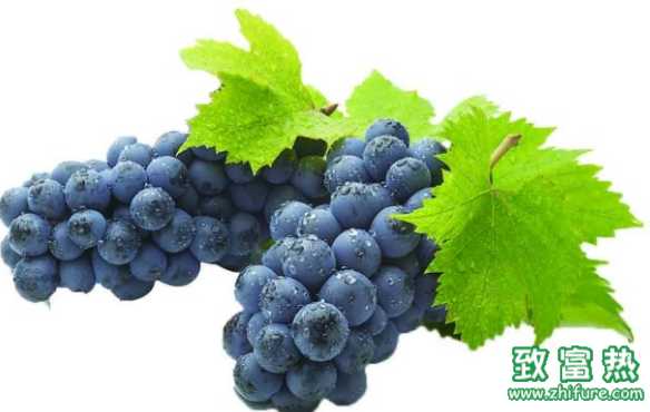 葡萄怎么清洗最干凈？面粉洗水果的方法