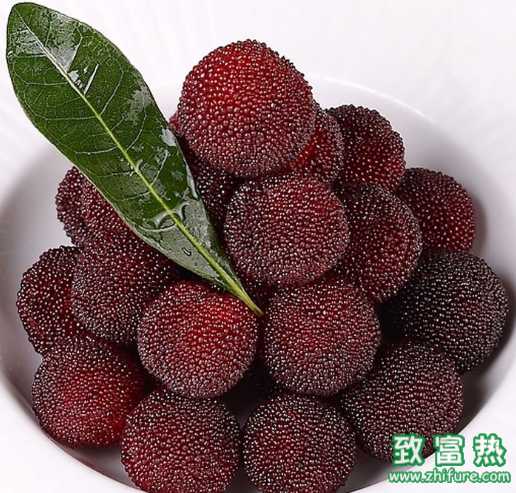 吃楊梅要洗嗎？楊梅籽能直接吃掉嗎？