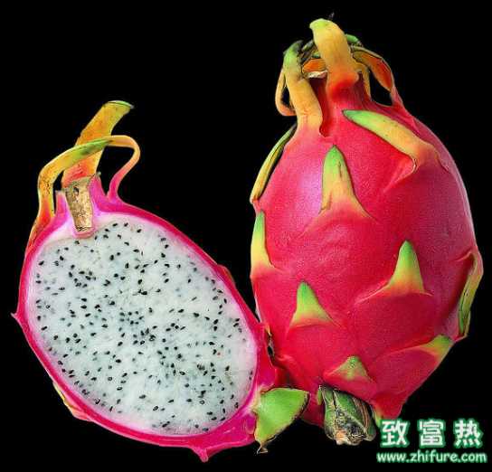 火龍果怎么切好看？火龍果怎么挑選？