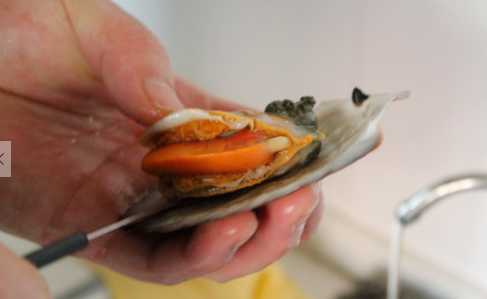 扇貝的營養價值和功效 扇貝的清洗方法