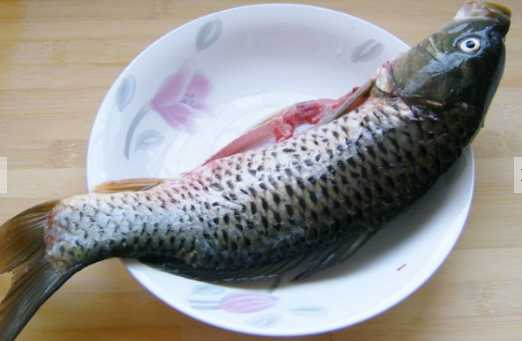 鯉魚的營養價值和功效 如何挑選鯉魚