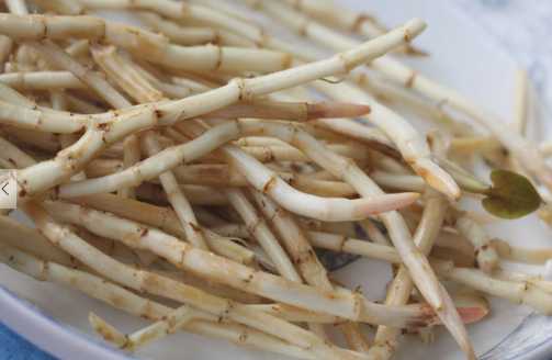 魚腥草的營養價值和功效 魚腥草的選購方法