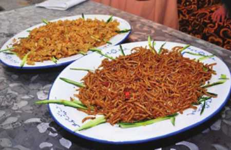 黃粉蟲的部分食用方法 黃粉蟲可以用作飼料喂養動物嗎