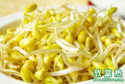 黃豆芽的營養(yǎng)價值和功效 黃豆芽的食用方法