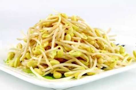 黃豆芽的營養價值和功效 黃豆芽的食用方法