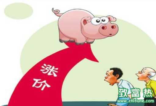 豬價(jià)“破9”持續(xù)上漲