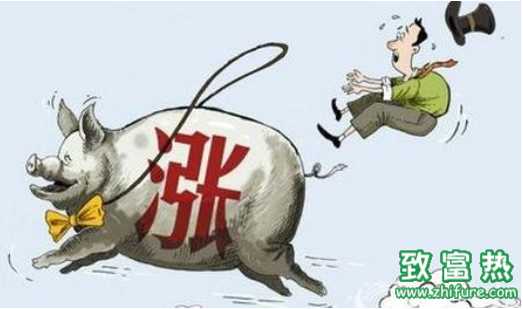 豬價依舊在漲 后市有擔憂