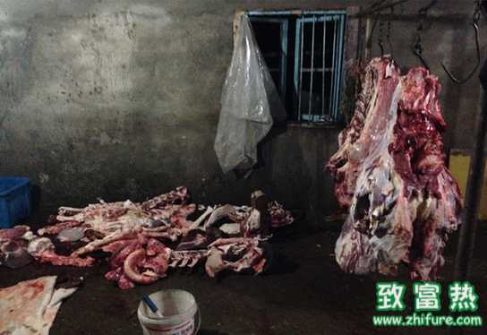 又一批未經(jīng)檢疫的私宰窩點(diǎn)曝光