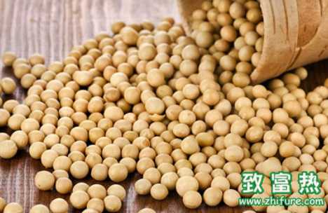 不宜生喂的四種飼料