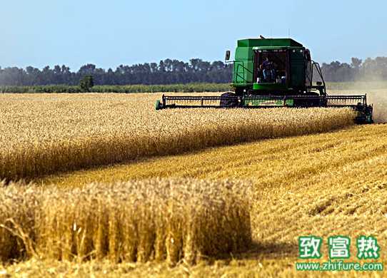 冬季小麥預防凍害