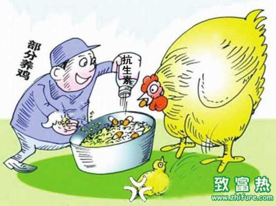 飼料中添加抗生素的注意事項(xiàng)