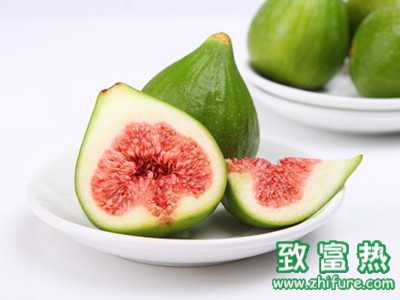 2017種無花果賺錢嗎？2017種無花果前景及市場價格行情分析