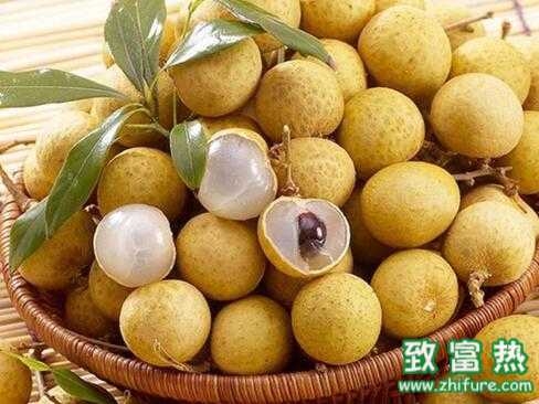 2017種龍眼賺錢嗎？2017種龍眼前景及市場(chǎng)價(jià)格行情分析