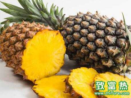 2017種菠蘿賺錢嗎？2017種菠蘿前景及市場價格行情分析