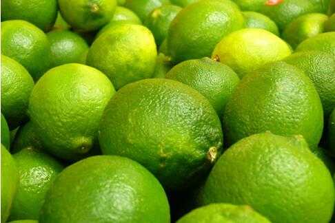 檸檬的種植技術