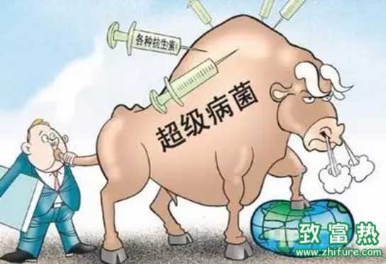 養(yǎng)殖業(yè)該不該禁用抗生素？