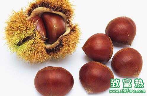 2017種板栗賺錢嗎？2017種板栗前景及市場價格行情分析