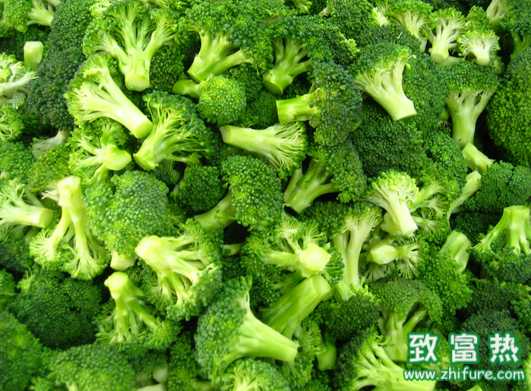 西蘭花種植應該注意哪些