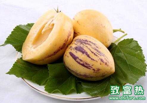 2017種人參果賺錢嗎？2017種人參果前景及市場(chǎng)價(jià)格行情分析