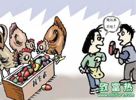 在飼料中添加抗生素的技巧