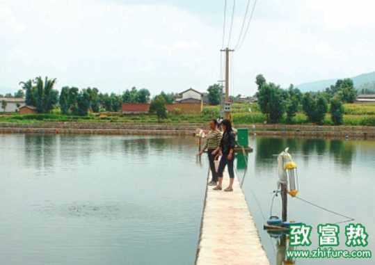 綠色漁藥的使用標準