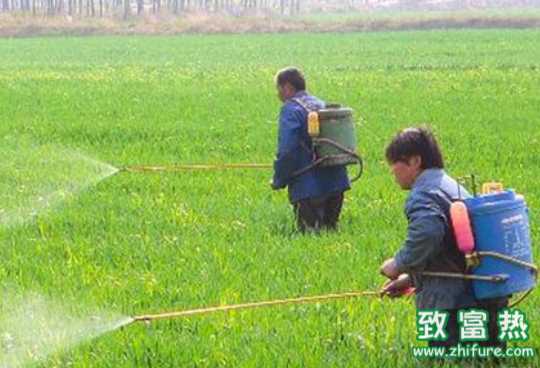 什么是農藥“三證”