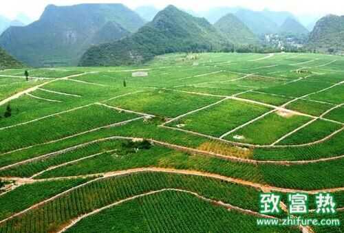 農村創(chuàng)業(yè)熱潮中的小經驗