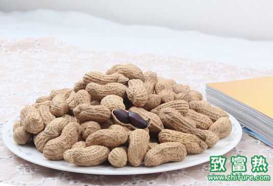 黑花生科學(xué)種植技術(shù)