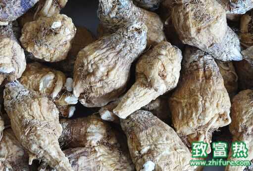 瑪卡的功效與作用，瑪咖的吃法，瑪咖的副作用