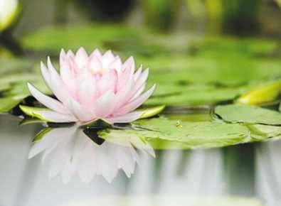 五個農村風險小的創業項目