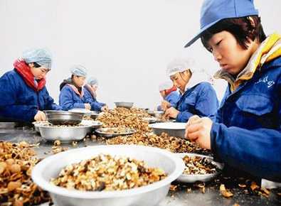 五個農村風險小的創業項目