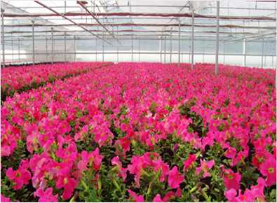 五個農村風險小的創業項目