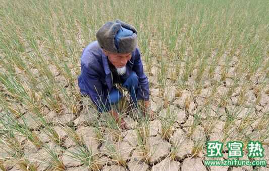 為什么農(nóng)民愿意出去打工不愿意在家務(wù)農(nóng)？