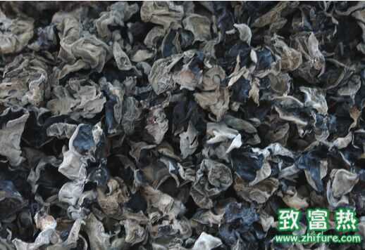 黑木耳的營(yíng)養(yǎng)價(jià)值，黑木耳的挑選方法