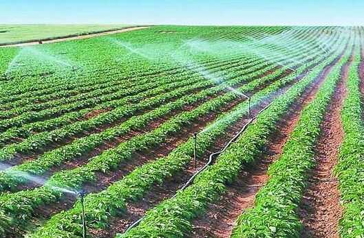 2016三大前景創業項目_農業項目