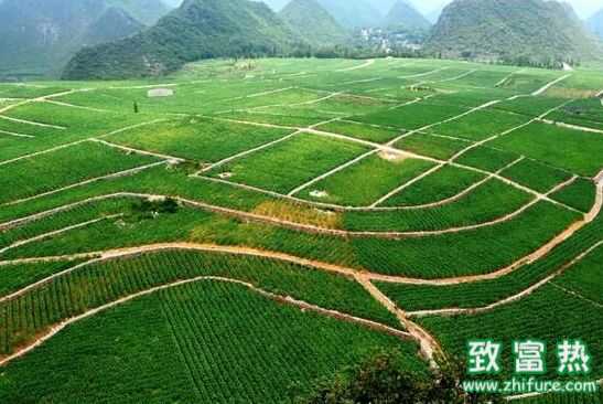 推薦八個適合農村年輕人的創業項目