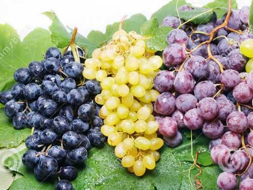 最新國(guó)內(nèi)水果銷量排行榜_葡萄