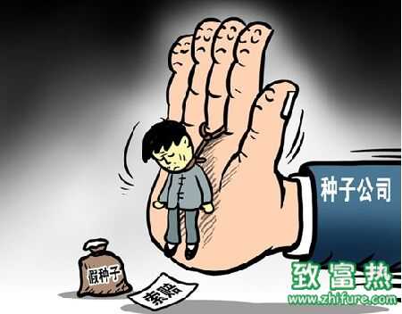 假種子到處坑農？教你避免買到假種子