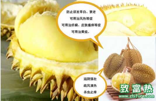 榴蓮是買大的好還是買小的好？