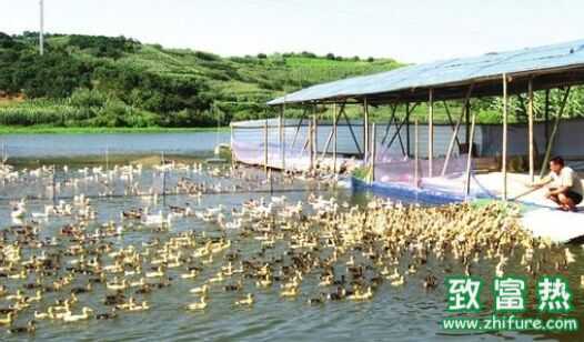 在農村創業你需要注意這五點